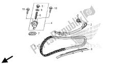 CAM CHAIN & TENSIONER