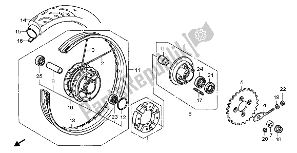 All parts for the Rear Wheel of the Honda ANF 125 2011