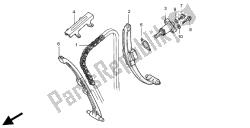 CAM CHAIN & TENSIONER