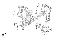 cylindre et soupape à anche