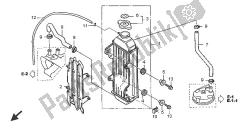 termosifone