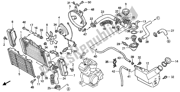 All parts for the Radiator of the Honda NTV 650 1989