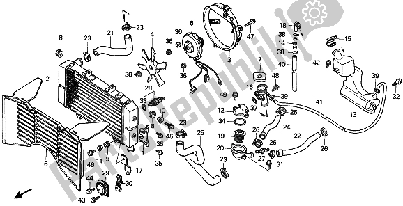Todas las partes para Radiador de Honda CBR 600F 1989