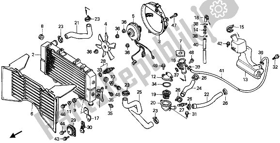 Tutte le parti per il Termosifone del Honda CBR 600F 1989