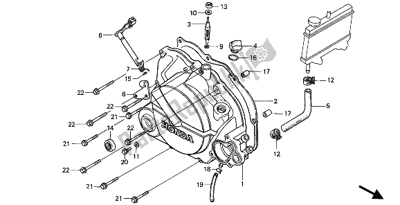 All parts for the Right Crankcase Cover of the Honda NSR 50S 1994