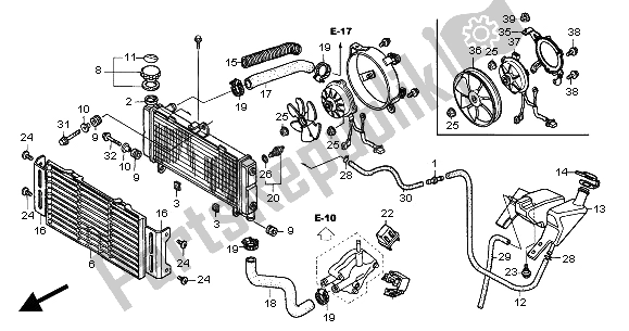 All parts for the Radiator of the Honda CB 600F Hornet 2005