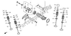 árbol de levas y válvula