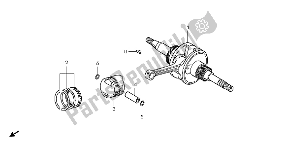 All parts for the Crankshaft & Piston of the Honda NHX 110 WH 2009