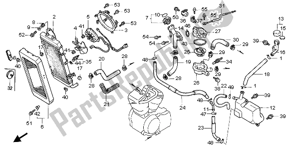 All parts for the Radiator of the Honda VT 1100C2 1998