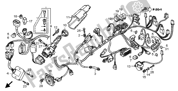 Tutte le parti per il Cablaggio del Honda FES 150A 2008