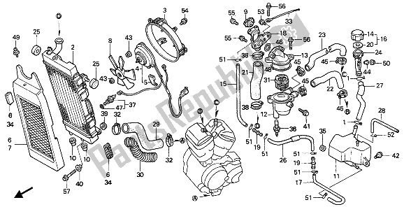 Alle onderdelen voor de Radiator van de Honda VT 600C 1993