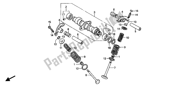 Tutte le parti per il Albero A Camme E Valvola del Honda CB 250 1994