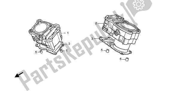 All parts for the Cylinder of the Honda NT 650V 2003