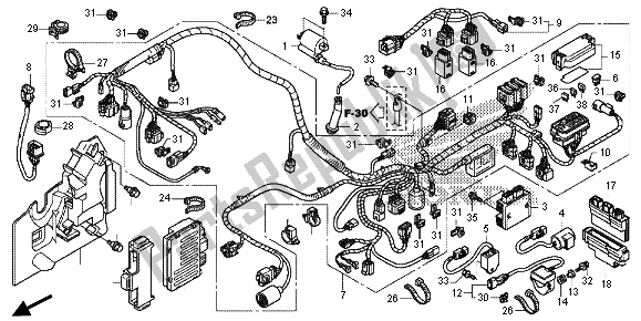 All parts for the Wire Harness of the Honda TRX 420 FE Fourtrax Rancher 4X4 ES 2013
