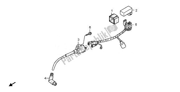 All parts for the Wire Harness & Ignition Coil of the Honda CRF 70F 2011