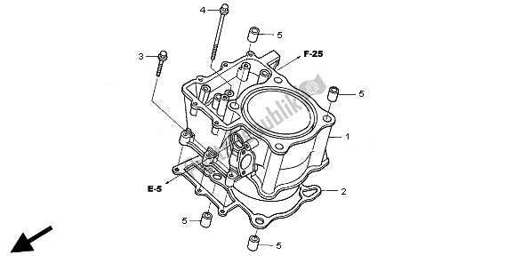 All parts for the Cylinder of the Honda TRX 680 FA Fourtrax Rincon 2010