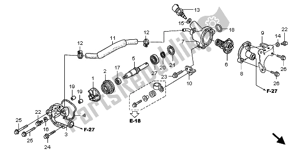 All parts for the Water Pump of the Honda SH 125D 2009