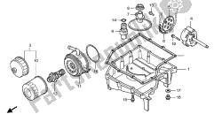 OIL PAN & OIL PUMP