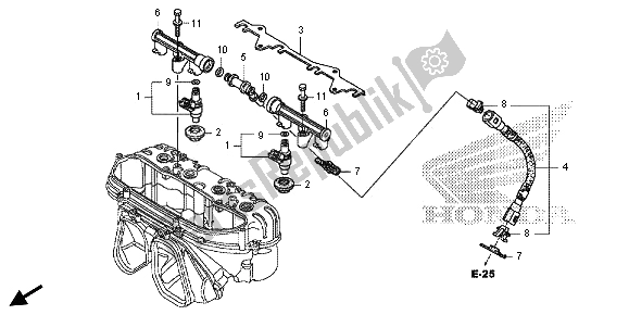 Alle onderdelen voor de Brandstofverstuiver van de Honda CBR 600 RA 2013