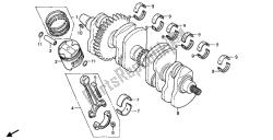 CRANKSHAFT & PISTON