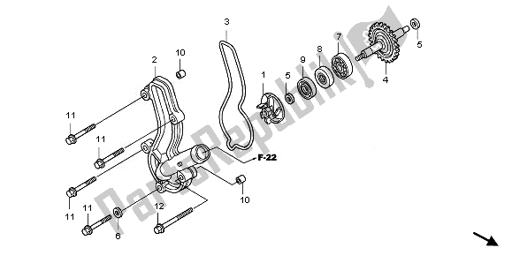 Todas las partes para Bomba De Agua de Honda CRF 150R SW 2008