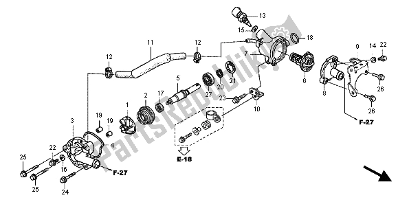 All parts for the Water Pump of the Honda SH 125 2012