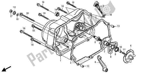 All parts for the Right Crankcase Cover of the Honda CRF 50F 2014