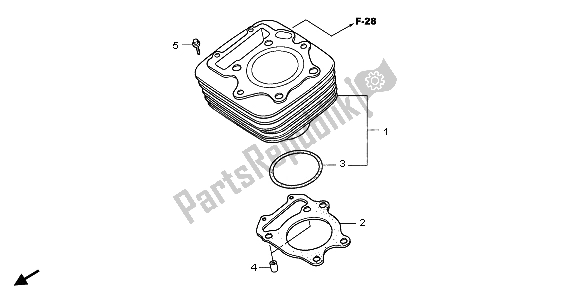 Tutte le parti per il Cilindro del Honda TRX 300 EX Sporttrax 2001