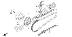 CAM CHAIN & TENSIONER