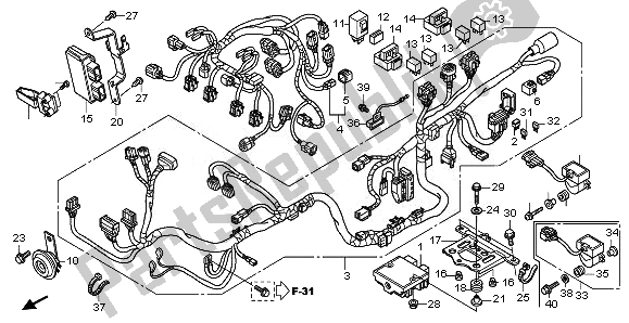 All parts for the Wire Harness of the Honda CB 600 FA Hornet 2011