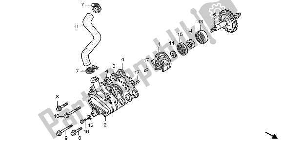 Alle onderdelen voor de Waterpomp van de Honda CR 125R 1998