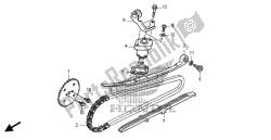 CAM CHAIN & TENSIONER