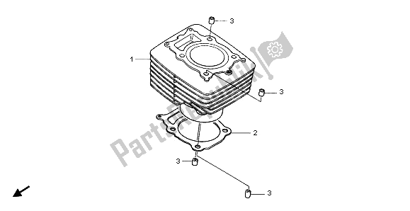 Alle onderdelen voor de Cilinder van de Honda TRX 350 FE Rancher 4X4 ES 2001