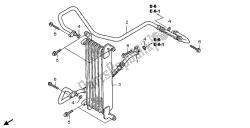 OIL COOLER