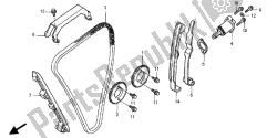 CAM CHAIN & TENSIONER