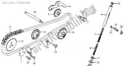 CAM CHAIN / TENSIONER