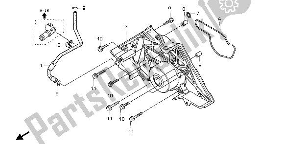 All parts for the Water Pump of the Honda ST 1100A 1999