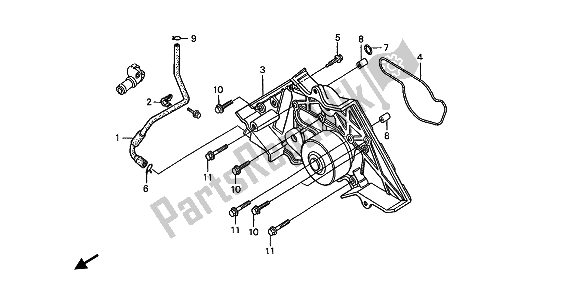 All parts for the Water Pump of the Honda ST 1100A 1993