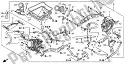 carburador (assy.)