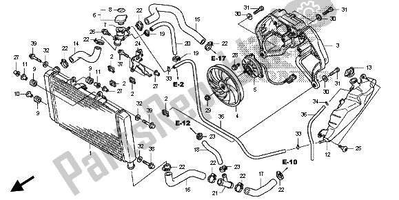 All parts for the Radiator of the Honda CB 600F Hornet 2013