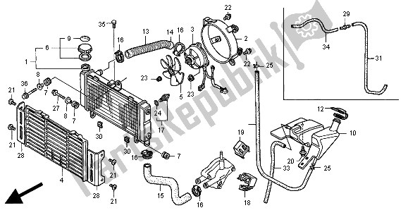 All parts for the Radiator of the Honda CB 600F2 Hornet 2000