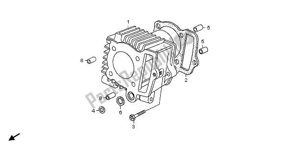 All parts for the Cylinder of the Honda CRF 70F 2006
