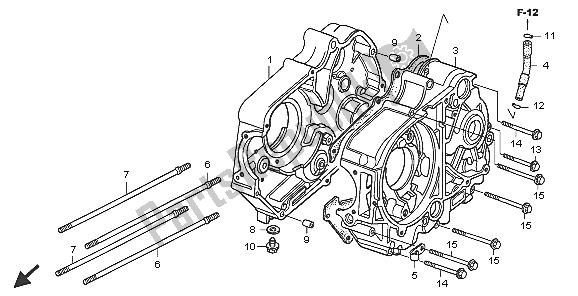 All parts for the Crankcase of the Honda CRF 50F 2005