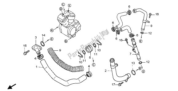 Tutte le parti per il Tubo Dell'acqua del Honda NTV 650 1997