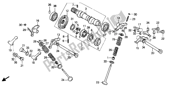 All parts for the Camshaft & Valve of the Honda NX 650 1991