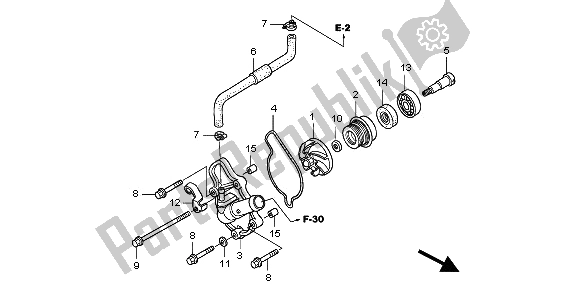 Alle onderdelen voor de Waterpomp van de Honda TRX 450 ER Sportrax 2009