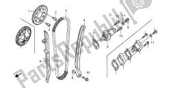 CAM CHAIN & TENSIONER