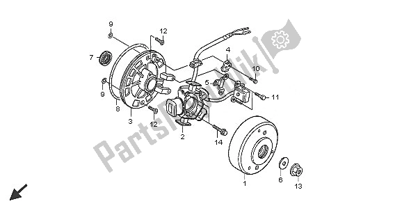 All parts for the Generator of the Honda CRF 50F 2005