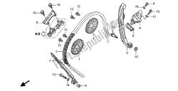 CAM CHAIN & TENSIONER