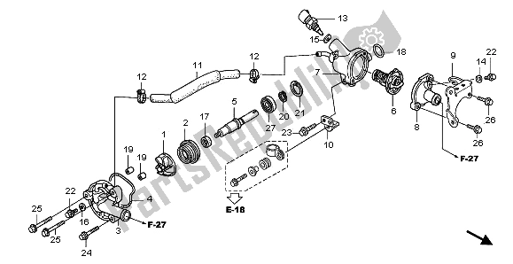 All parts for the Water Pump of the Honda SH 150 2009